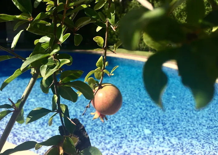 מלון Western Santa Caterina 4*